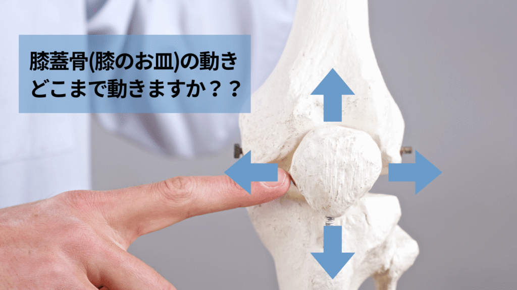 膝蓋骨の動きを理学療法士が解説｜膝のお皿の可動域と階段降段時の関係