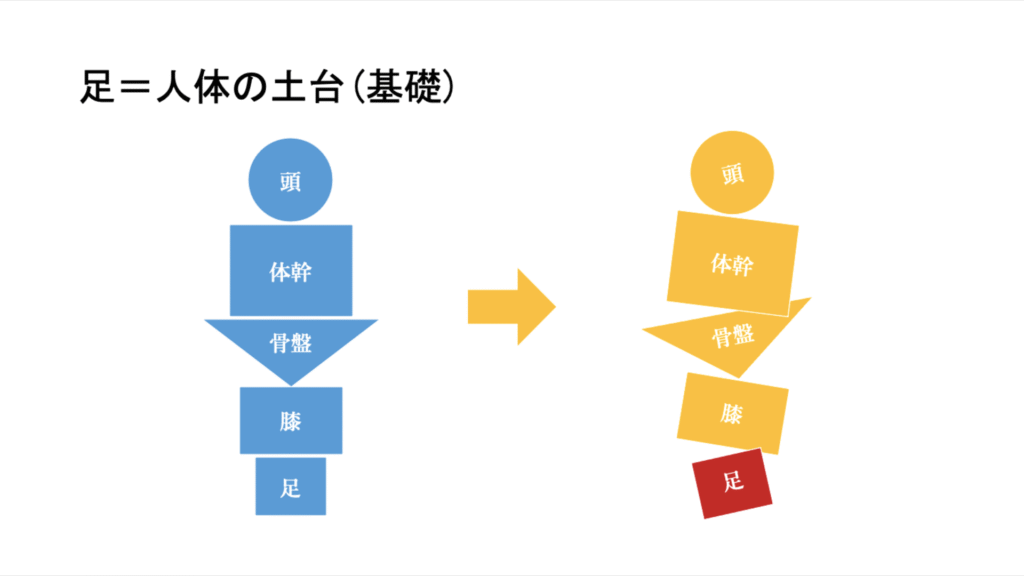 足は人体の土台であり姿勢や全身バランスに影響する図解