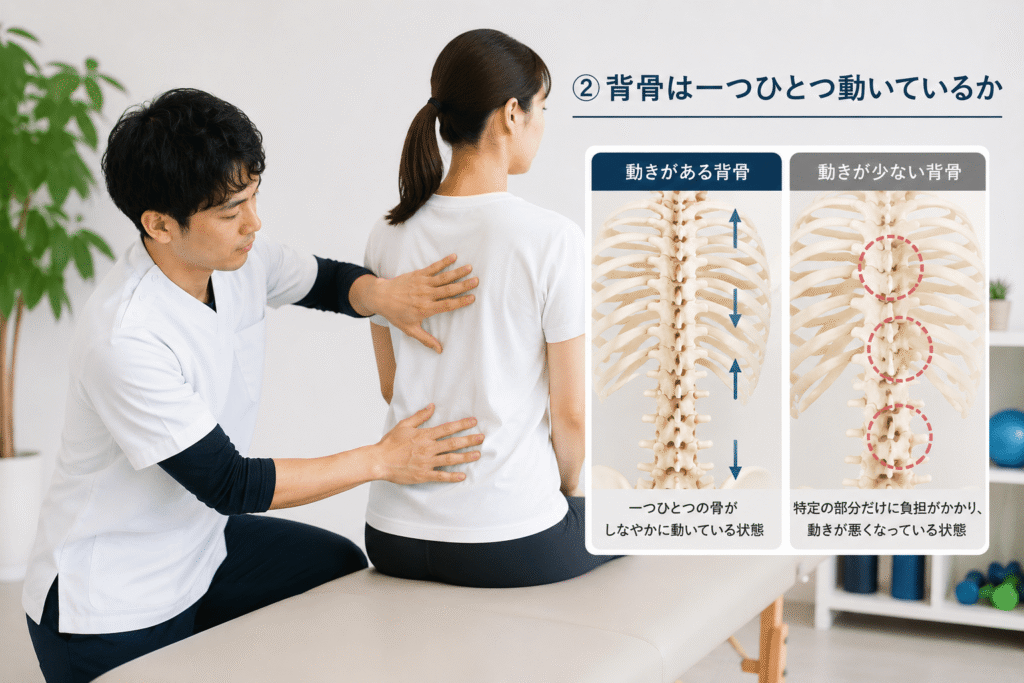 理学療法士が利用者の背骨の動きや胸椎の可動性を評価している様子