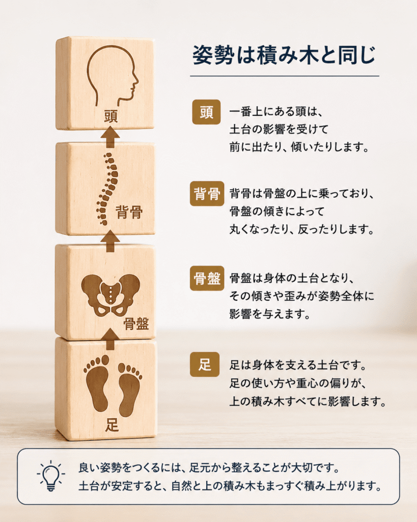 足・骨盤・背骨・頭が積み木のようにつながり、姿勢のバランスを表したイラスト