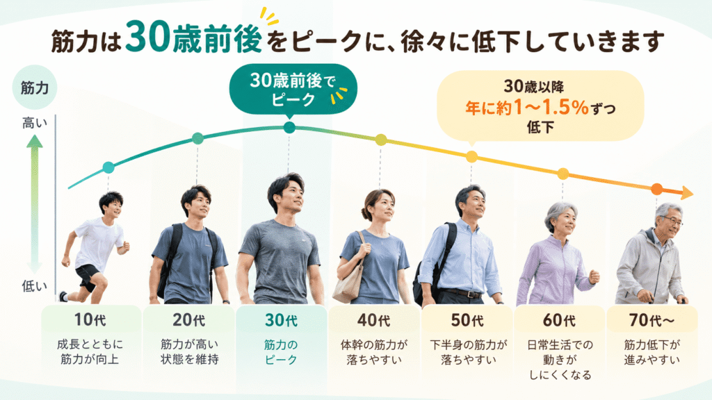 筋力が30歳前後をピークに年齢とともに変化するイメージを年代別に示した図